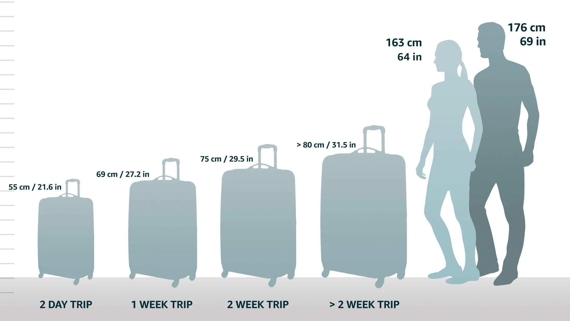 Briggs & Riley Baseline TravelWare 24" Wide Body Large 2-Wheel Wheeled Garment Suitcase