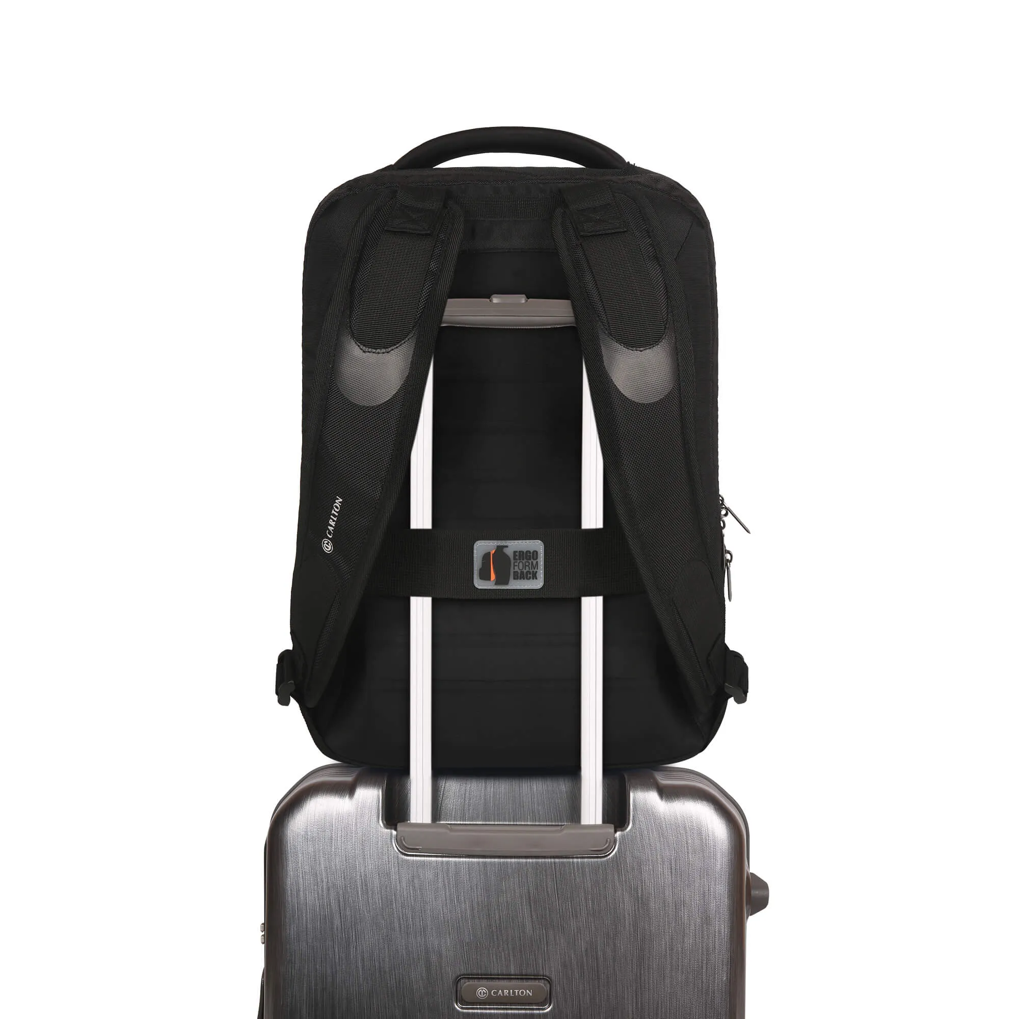 Carlton Hampshire Laptop backpack