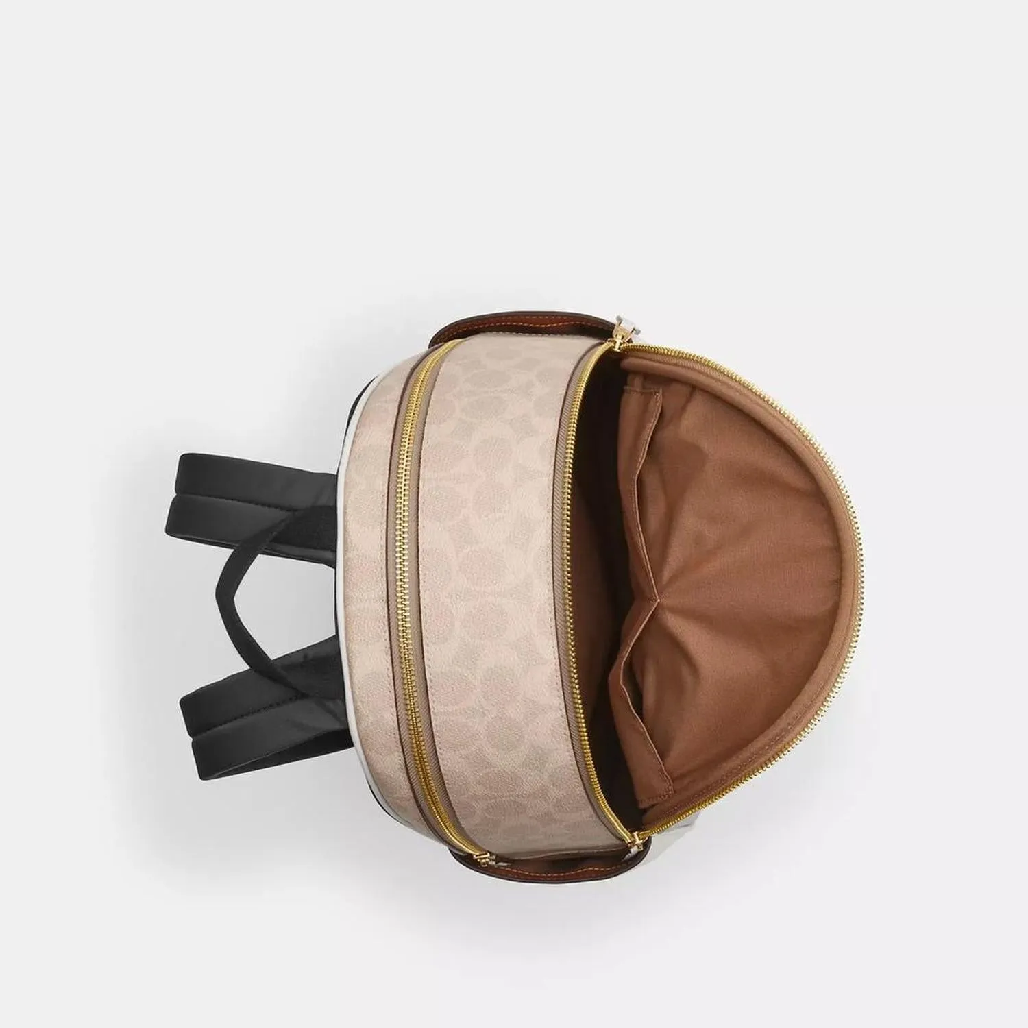 Court Backpack In Signature Canvas