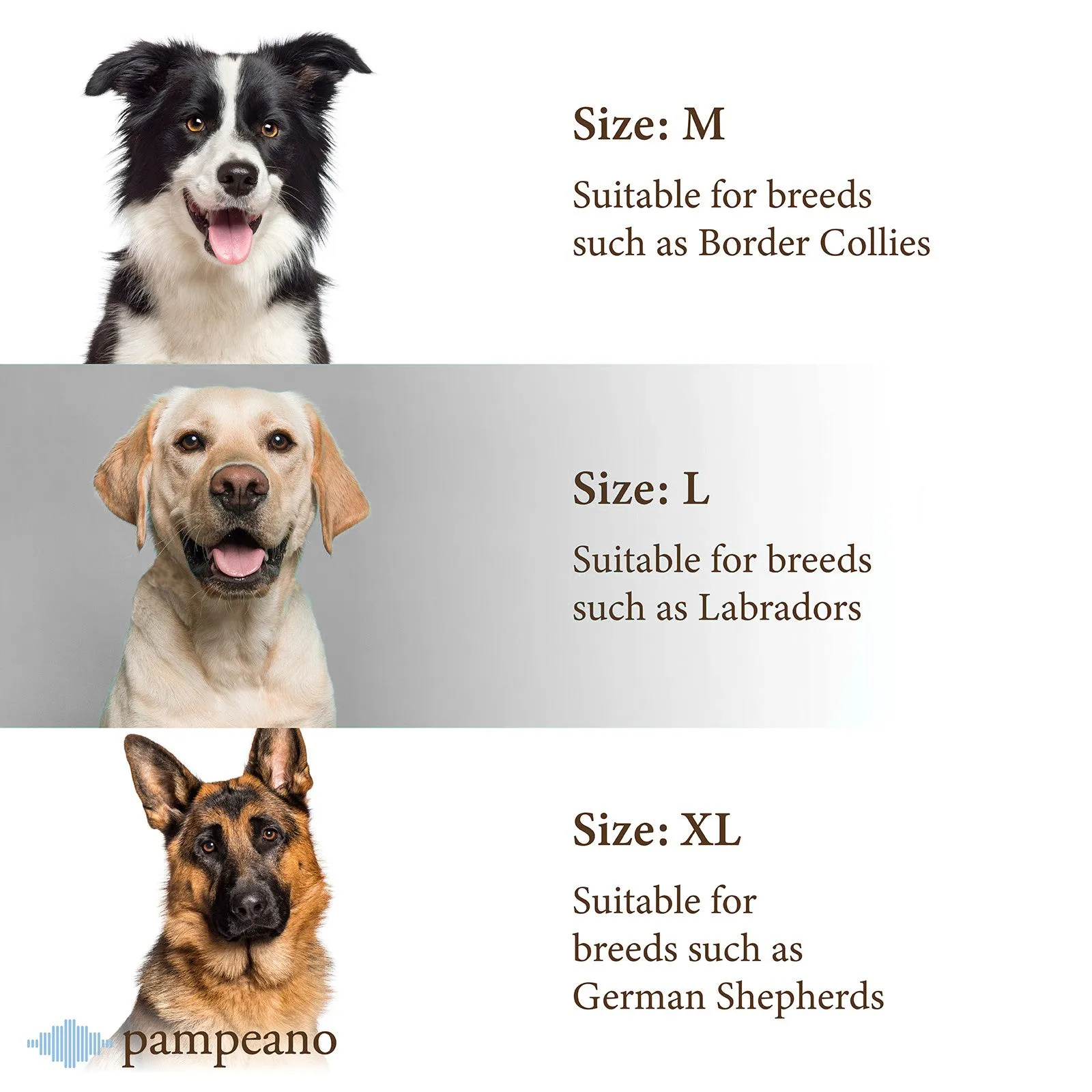 Dog Collar - Multi