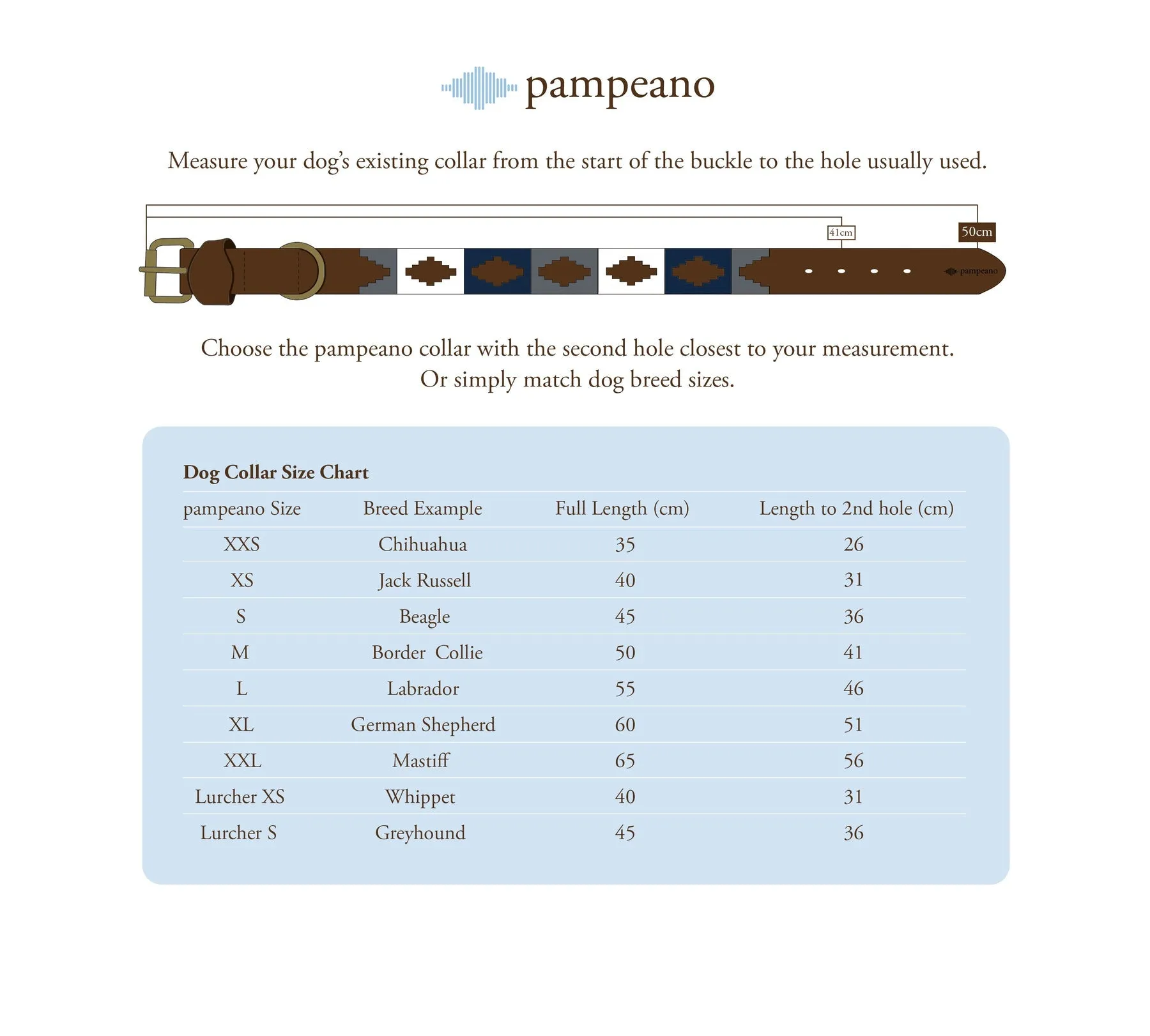 Dog Collar - Multi