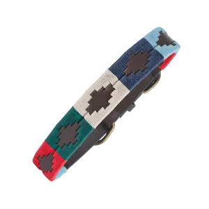 Dog Collar - Multi