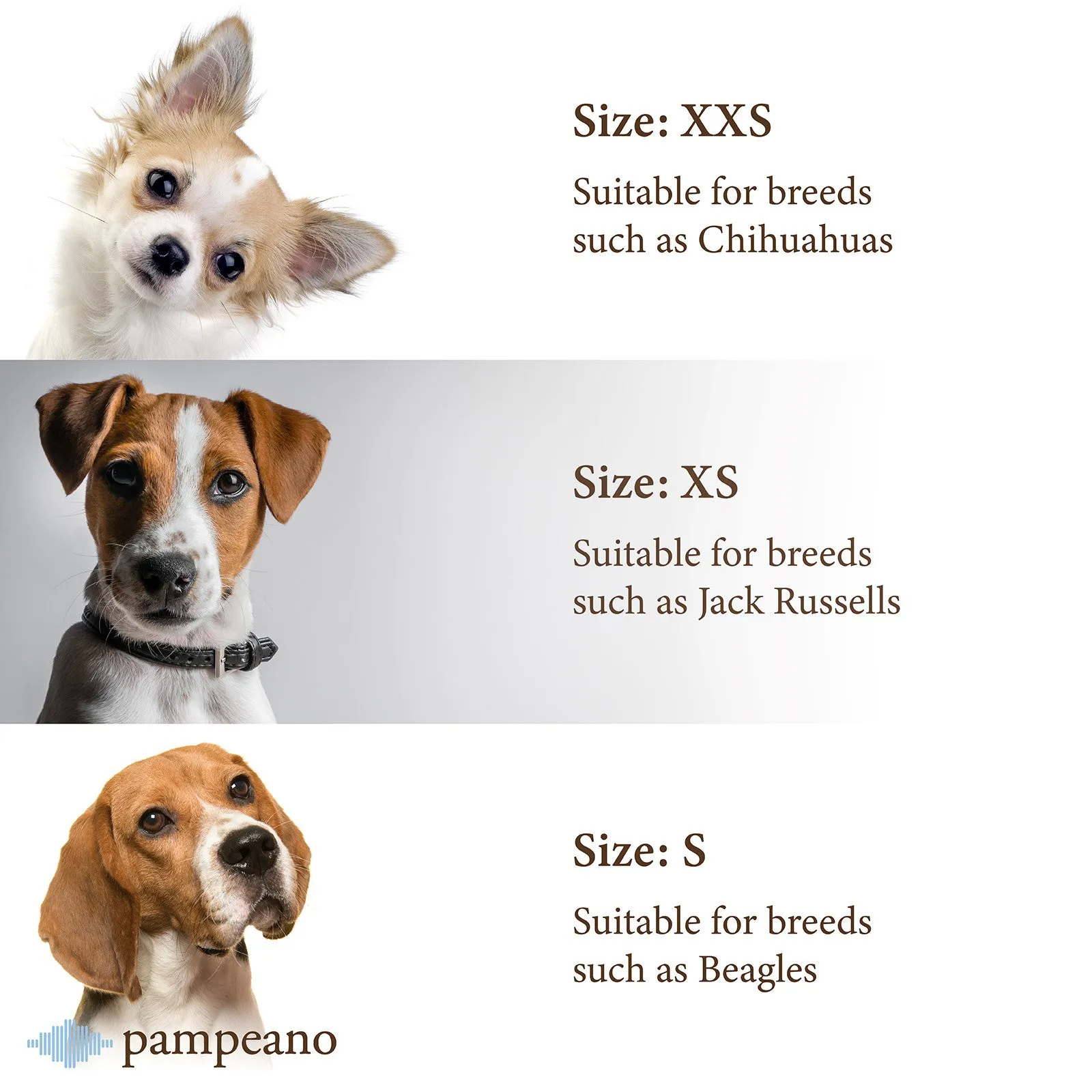 Dog Collar - Multi