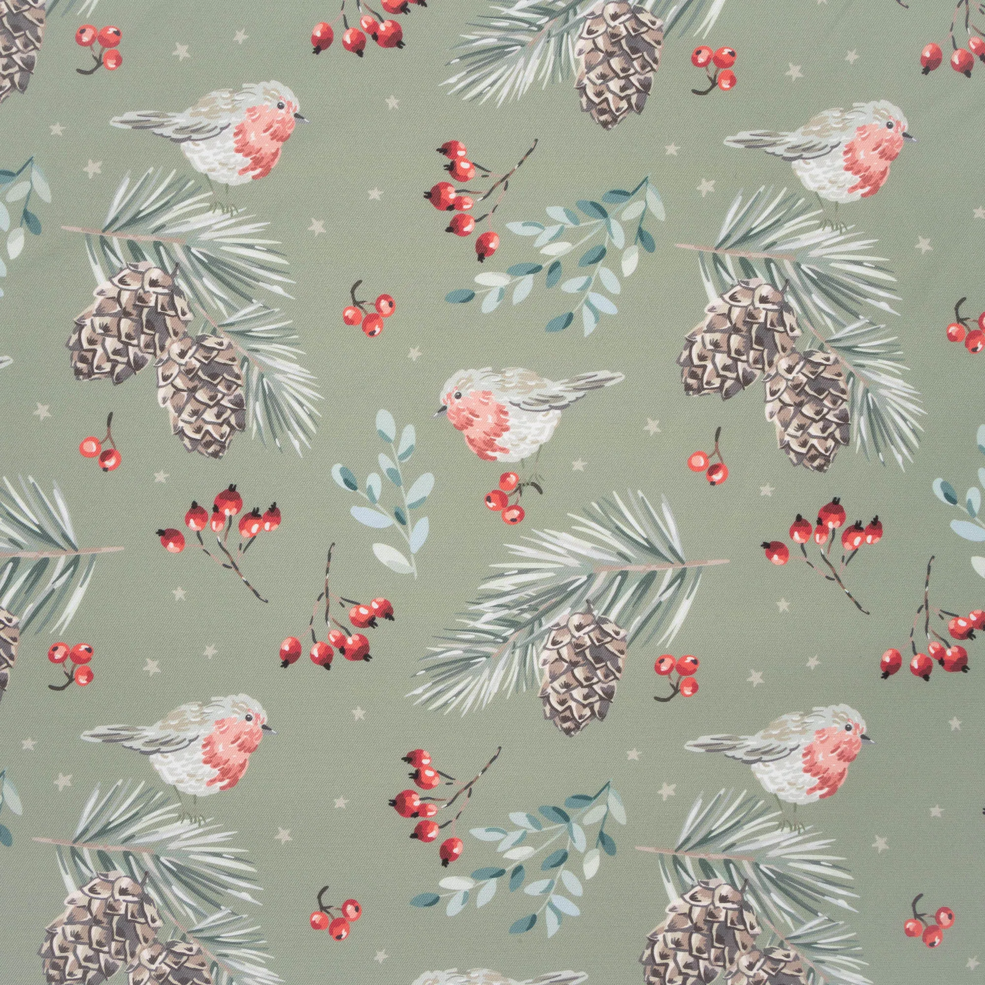 Eco Fabric Pine Cones Olive #2098