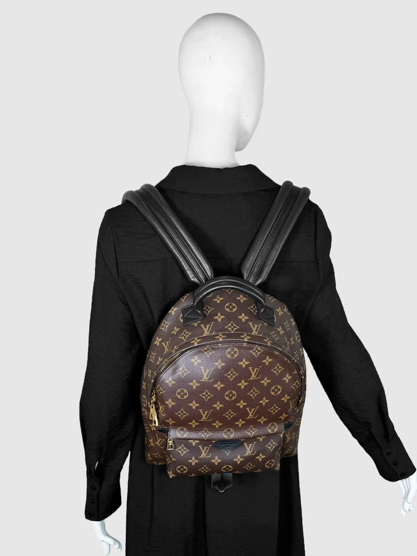 Monogram Palm Springs PM Backpack