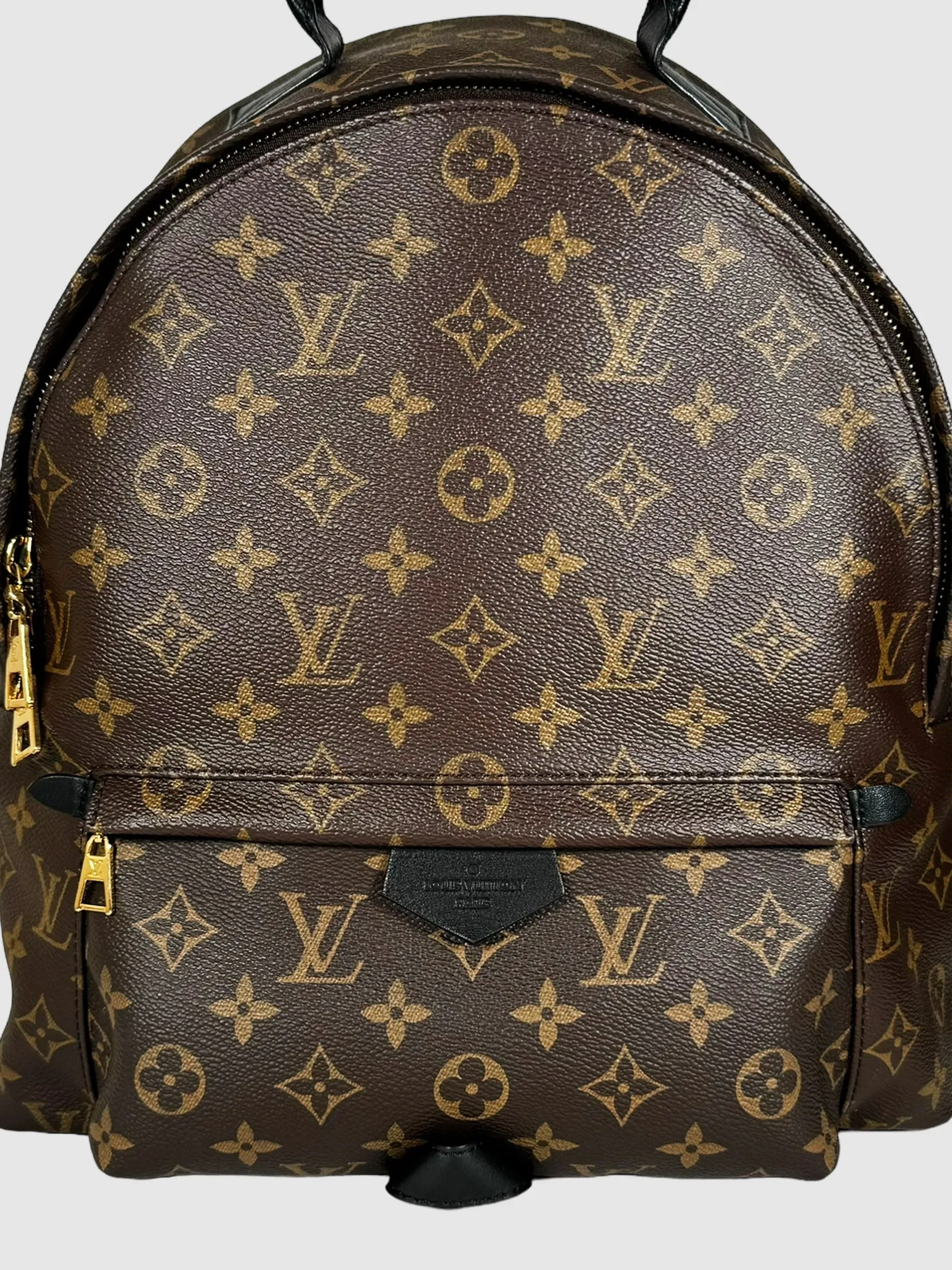 Monogram Palm Springs PM Backpack