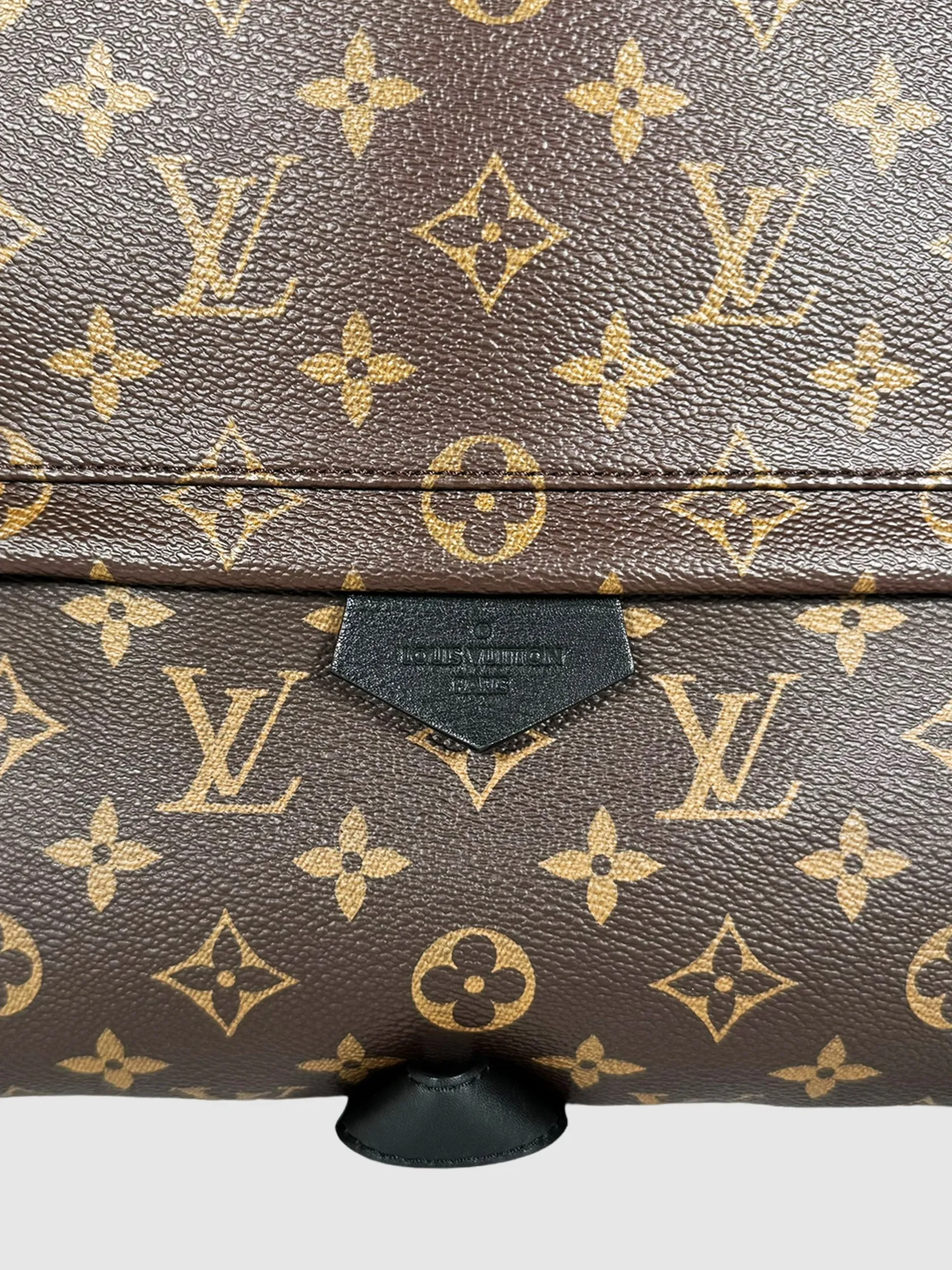 Monogram Palm Springs PM Backpack