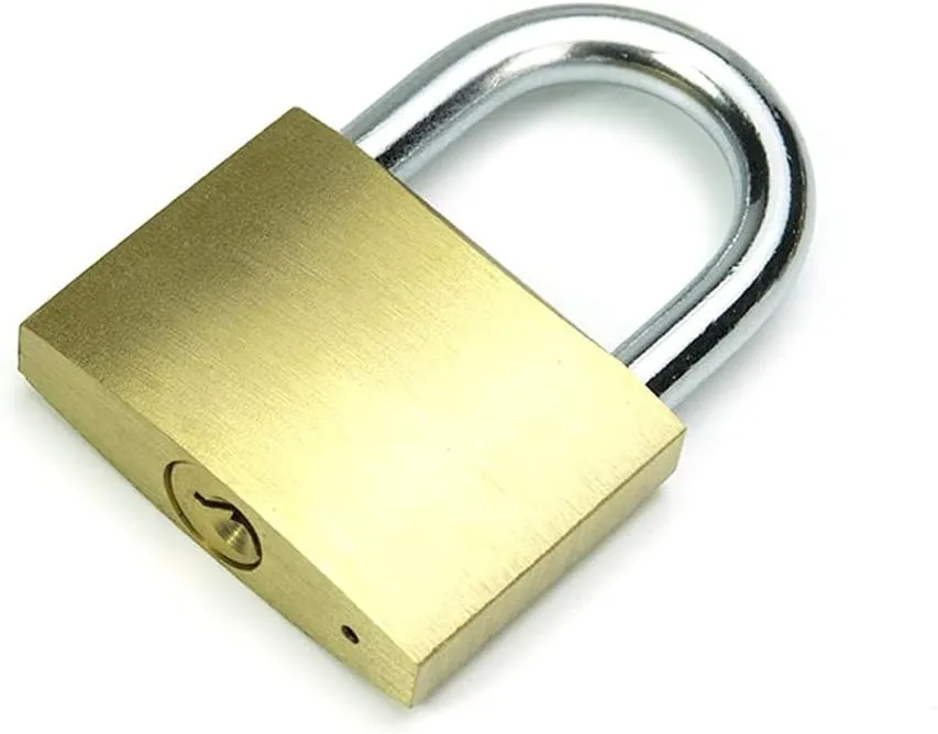 Solid Brass Same Keyed Padlock keyed Alike Locks of 12 Pack, Solid Lock with (25mm) Wide Lock Body, Keyed Padlocks for Toolbox, Luggage,School lockers, Backpacks