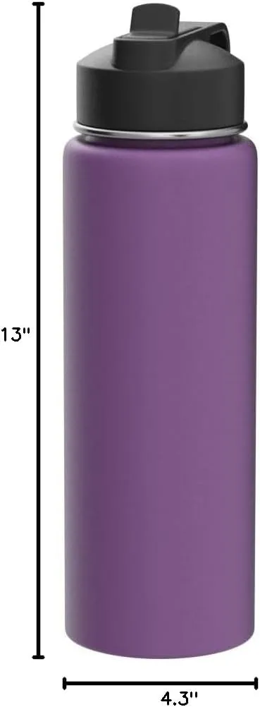 ThermoFlask 24 oz Double Wall Vacuum Insulated Stainless Steel Water Bottle with Spout and Straw Lids, Plum