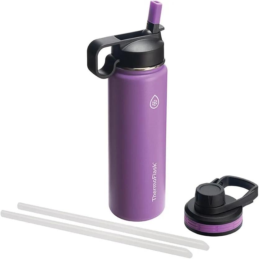 ThermoFlask 24 oz Double Wall Vacuum Insulated Stainless Steel Water Bottle with Spout and Straw Lids, Plum